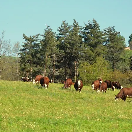 A La Ferme De Bacon בית נופש